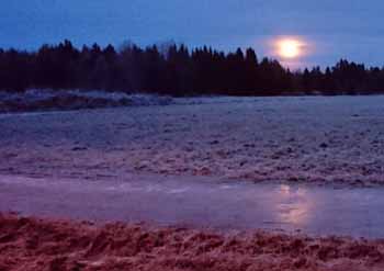Kvällsskymning julafton 2015